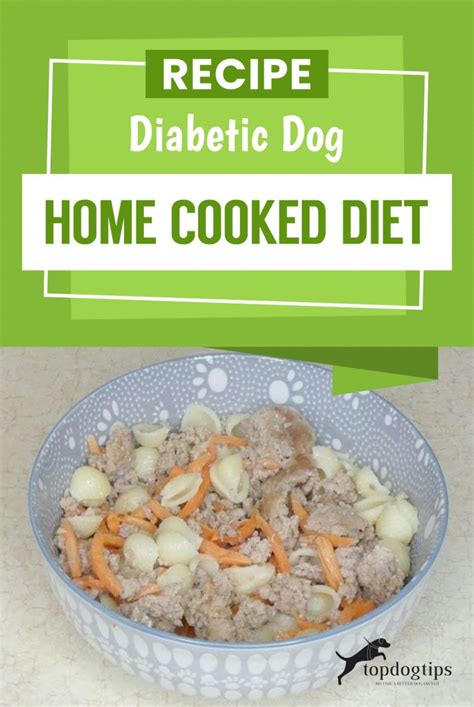 Recipe: Diabetic Dog Home Cooked Diet – Top Dog Tips