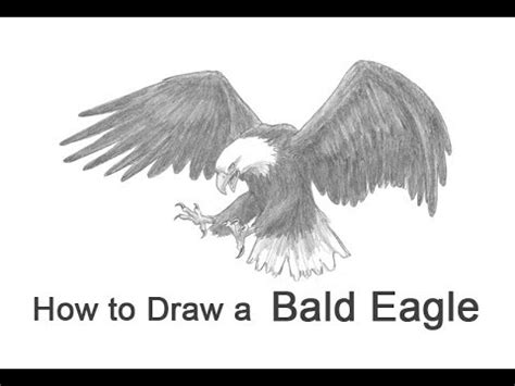 Soaring Eagle Drawing