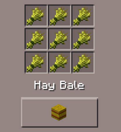 Hay Bale: Minecraft Pocket Edition: CanTeach