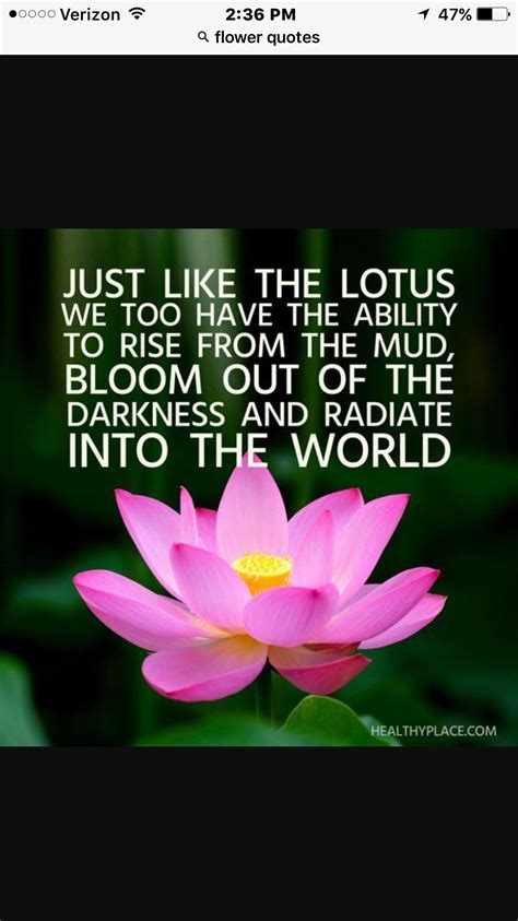 Positive Lotus Quotes - good morning motivational quotes