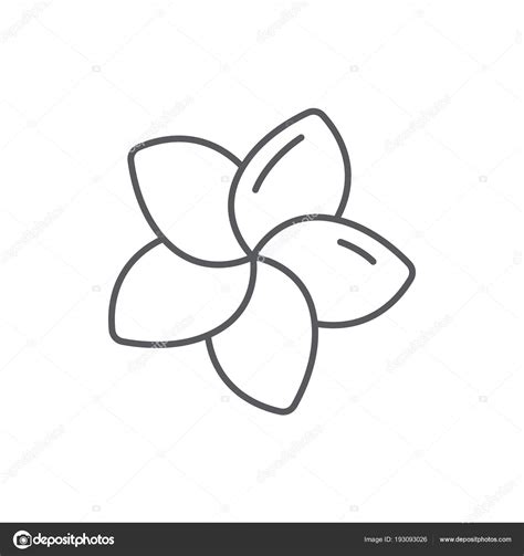 Plumeria Flower Outline Vector | Best Flower Site