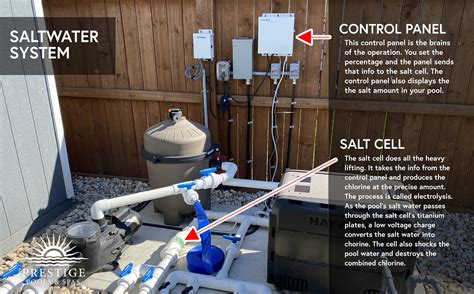 SALTWATER POOLS 101: Pros and Cons - From a Real Inground Pool Builder — PRESTIGE