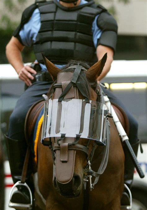 120 besten Police Horse tack Bilder auf Pinterest | Pferdegeschirr, Pferdefotos und Feuerwehrmänner