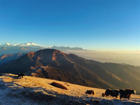 Kangchenjunga from Phalut Top, Singalila National Park, India : r/Outdoors