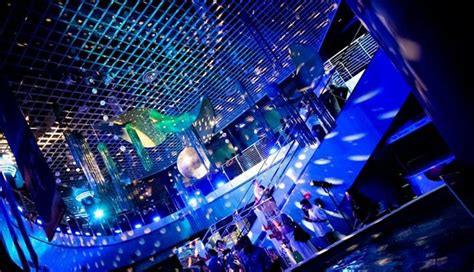 Nightclub lighting | Nightclub lighting, Event lighting, Wine and food festival