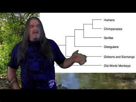 Systematic Classification of Life - ep43 Homininae : r/Paleontology