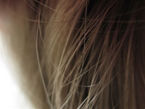Light Long Hair Texture Free Stock Photo - Public Domain Pictures