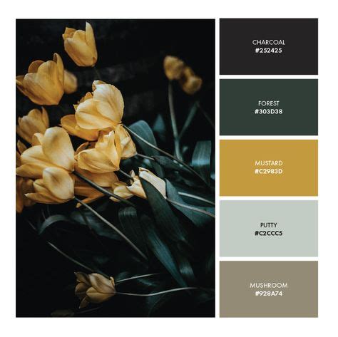 63 Best 6: Formal, Elegant, Classy ideas | colour schemes, color schemes, color pallets