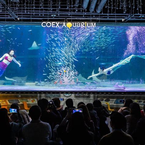 COEX Aquarium tickets | Seoul