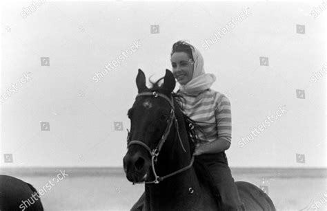 Elizabeth Taylor Riding Horse Movie Giant Editorial Stock Photo - Stock ...