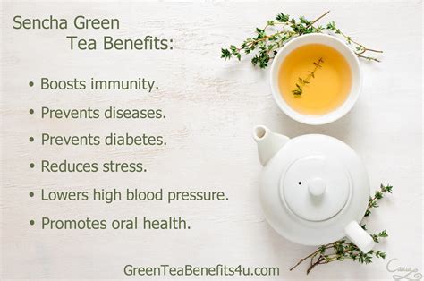 Green Tea Benefits - Home