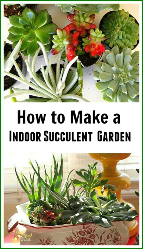 How To Make An Indoor Succulent Dish Garden