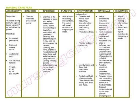 the nursing care plan is shown in green and white, with an image of different types of