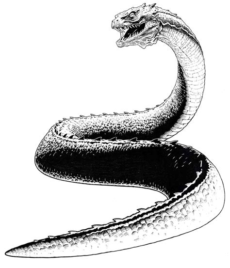 Download Basilisk Snake Png Pic - Harry Potter Basilisk Drawing | Transparent PNG Download | SeekPNG