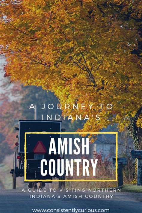 7 Amish Experiences To Have During Your Trip To Indiana Amish Country