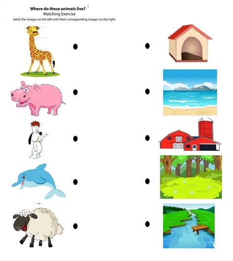 Animals Habitat Worksheet For Kindergarten