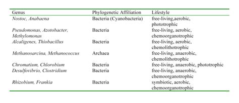 The Nitrogen Cycle: Processes, Players, and Human Impact | Learn ...