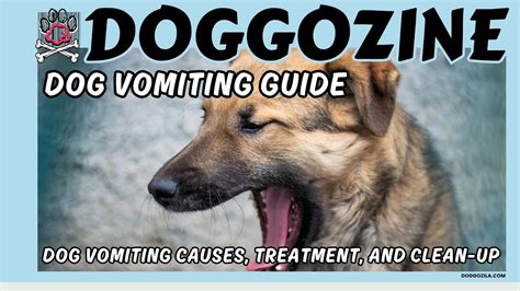 DOG VOMITING CAUSES, TREATMENT AND PREVENTION