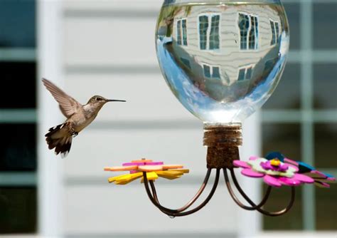 How to Clean a Hummingbird Feeder - Cabin Lane