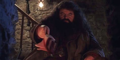 Where Did Hagrid’s Wand Come from and Why Does It Look So Ridiculous?