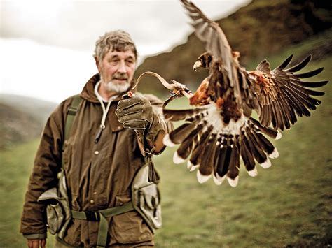 Falconry's Popularity Soars in England and Scotland | Condé Nast Traveler