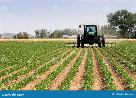 Tractor plowing the fields stock image. Image of farming - 160765