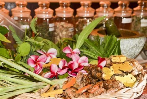 Ayurveda Herbs and Roots for Treatment 2018 Stock Photo - Image of healthy, cosmetic: 108706402