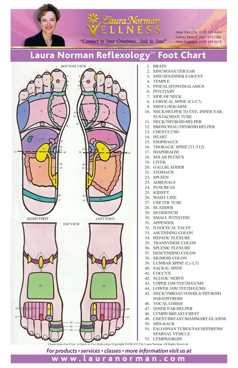 Foot Reflexology Chart