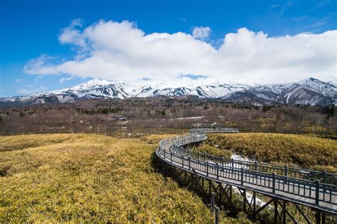 Hokkaido Travel Guide: 16 Things to Do and See | Vogue