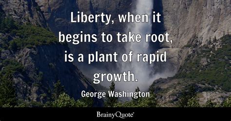 Liberty, when it begins to take root, is a plant of rapid growth. - George Washington - BrainyQuote