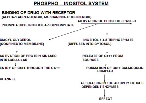 Parasympathomimetic Drugs – howMed