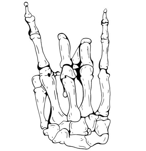 Skeleton Hand Drawing at GetDrawings | Free download