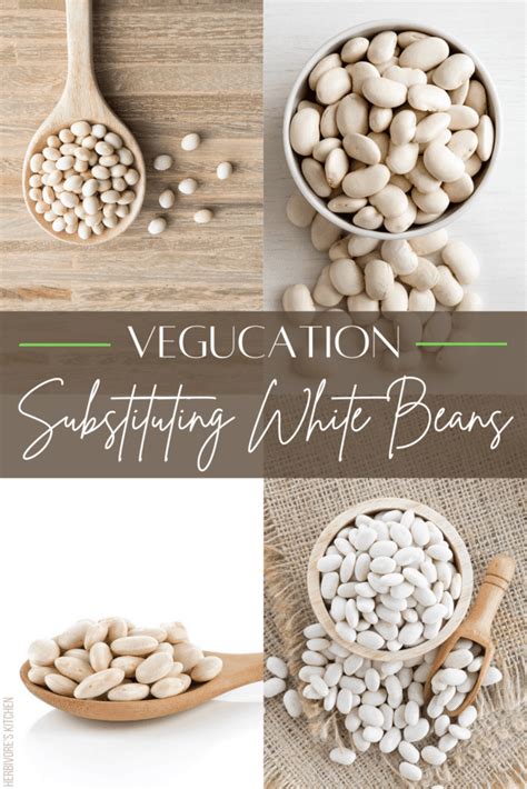 White Beans: The Ultimate Guide