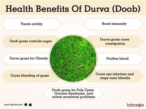 Durva (Doob) Grass Benefits | Lybrate