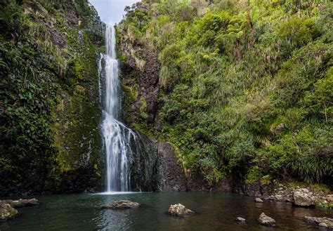 10 Things To Do in Auckland for Every Nature Lover | Trekbible