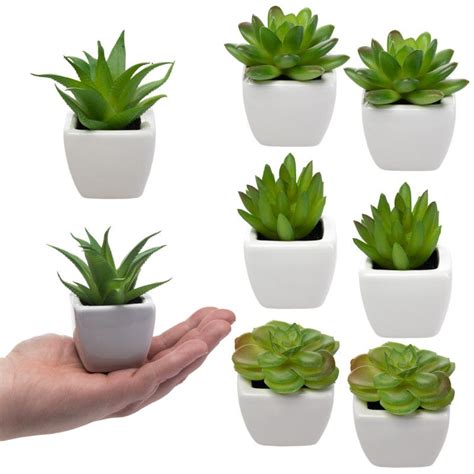 Set Of 8 Cute Succulent Artificial House Plants In Ceramic Pots | Fake succulent plants, Mini ...