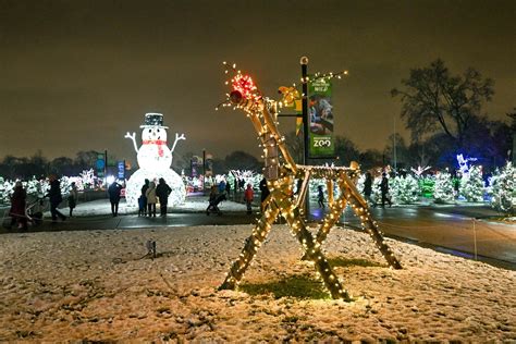 Chicago's Premier Winter Lights Fest - Brookfield Zoo Zoo Guide