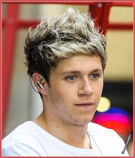 Niall Horan 2013 - One Direction Photo (35380911) - Fanpop