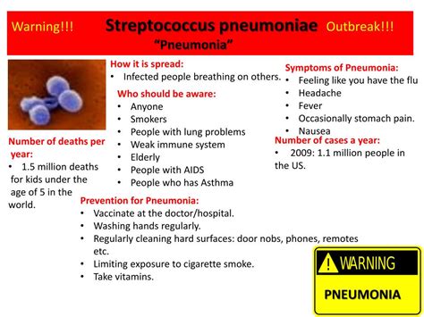 PPT - Warning!!! Streptococcus pneumoniae Outbreak!!! PowerPoint Presentation - ID:1992033