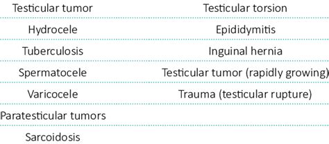 Differential diagnosis of scrotal masses Painless scrotal mass Painful... | Download Table