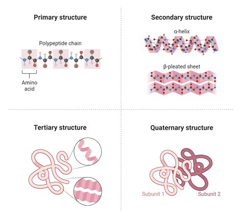 What Are Hormones : Know The Basics - My Endo Consult