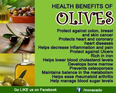 Health Benefits of Olives | Fruit benefits, Vegetable benefits, Health ...