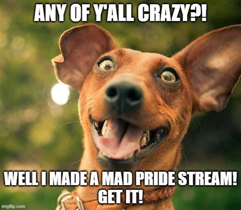 One of my alters dared me to make a mad pride stream! xD - Imgflip