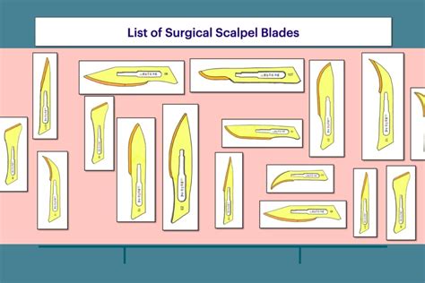 List of Surgical Scalpel Blades – Types , Sizes, Uses – MediGac