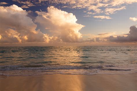 Caribbean Beach In Morning Free Stock Photo - Public Domain Pictures