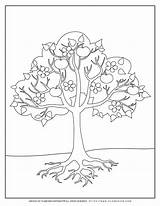 Apple Tree Coloring Page Pages sketch template