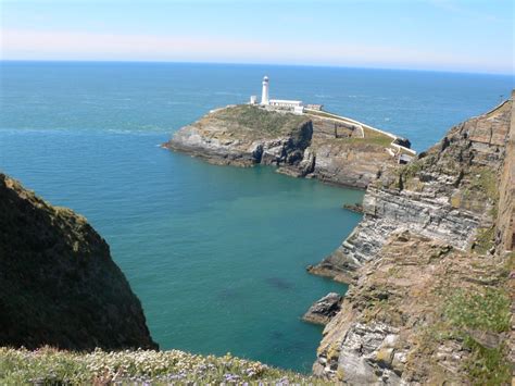 Blog « Anglesey Wildlife Walks