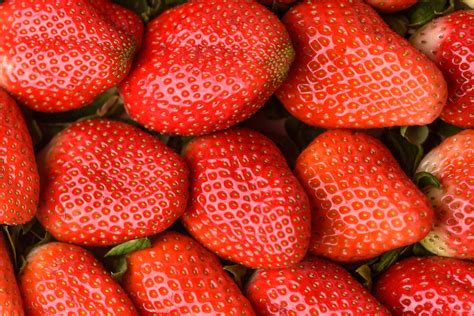 Spanish strawberry production recovers, but German restrictions cause ...