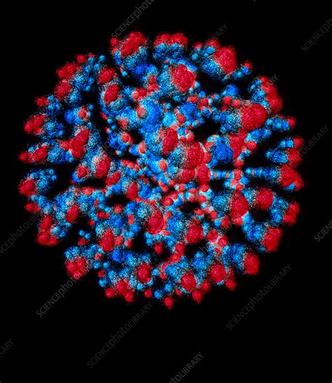 Visualisation of quark structure of uranium - Stock Image - A152/0058 ...