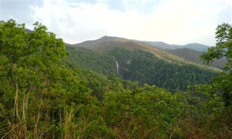 Hebbe Falls Chikmagalur (Entry Fee, Timings, Entry Ticket Cost, Price, Map & Distance)